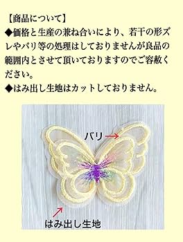 Amazon.co.jp: Lily lion［リリーリオン］ ジュエリーバタフライ